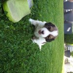 05Woche