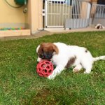 07Woche Peter